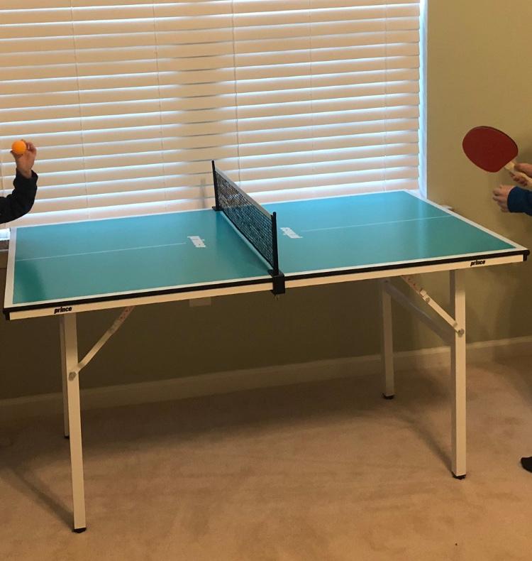 prince ping pong table