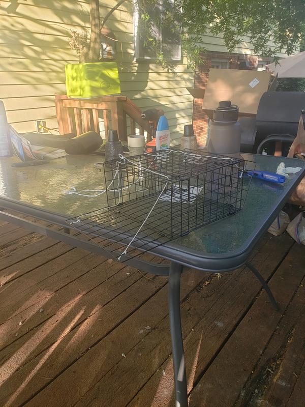Photo submitted with review of product