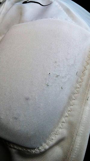 Photo submitted with review of product