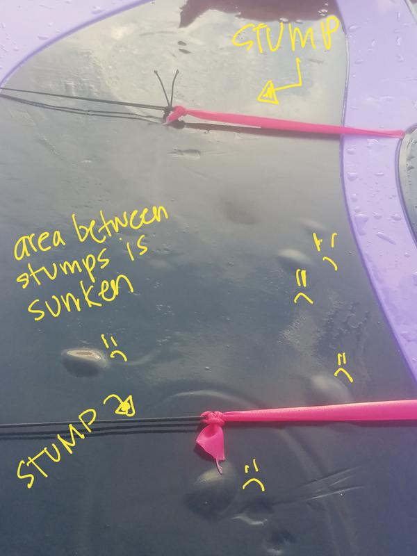 Photo submitted with review of product