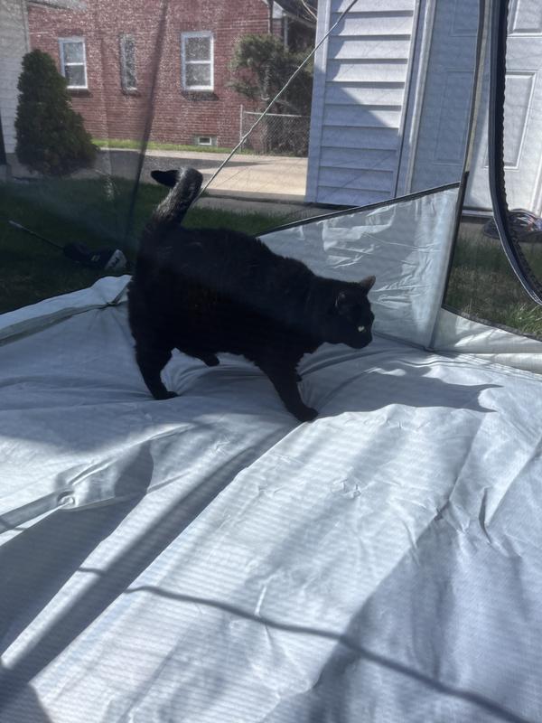 Photo submitted with review of product