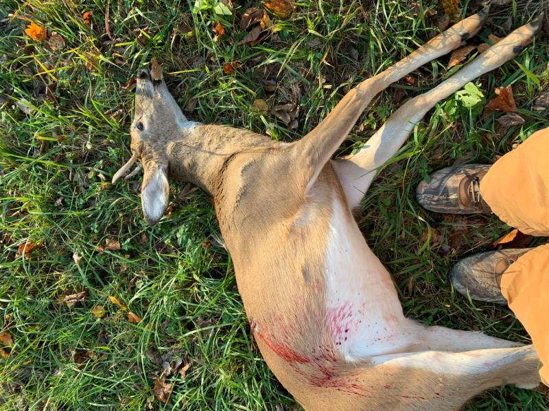 Photo submitted with review of product