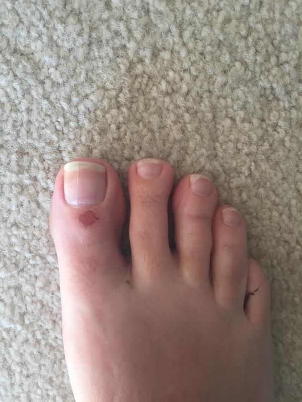 Photo submitted with review of product