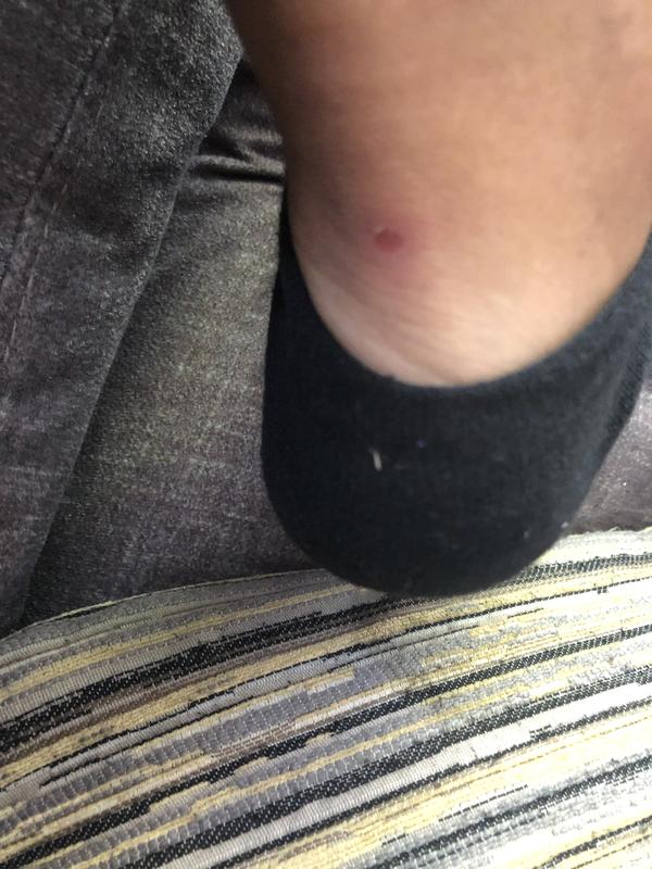 Photo submitted with review of product