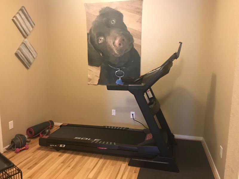 Photo submitted with review of product