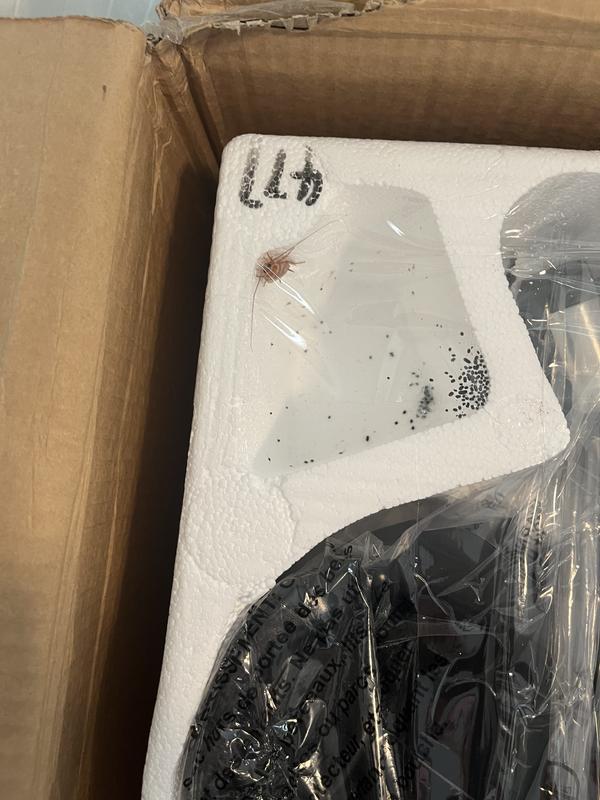 Photo submitted with review of product