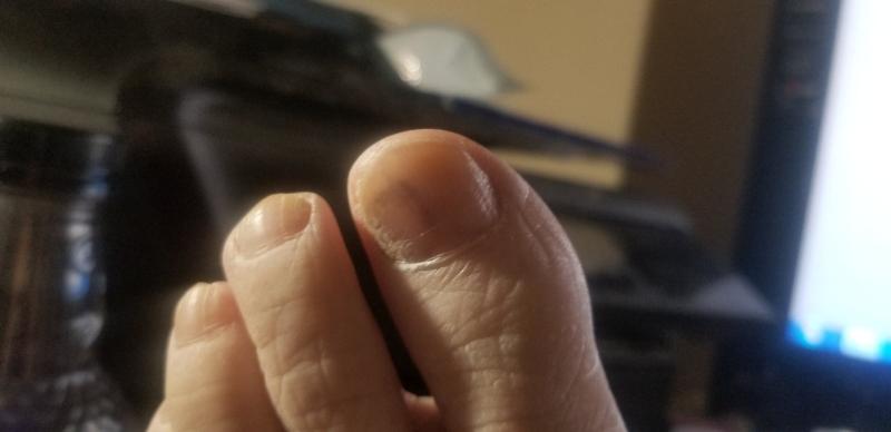 Photo submitted with review of product