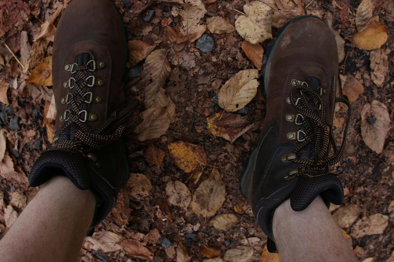 timberland maddsen review