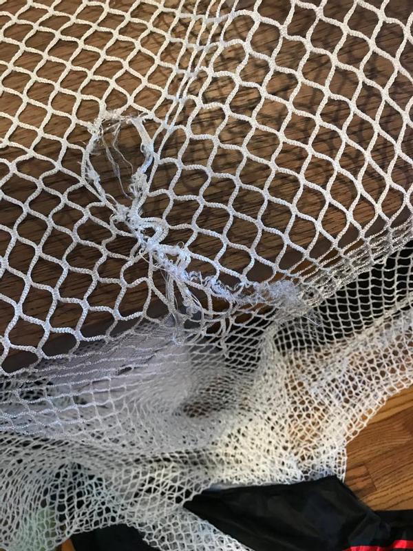 Photo submitted with review of product