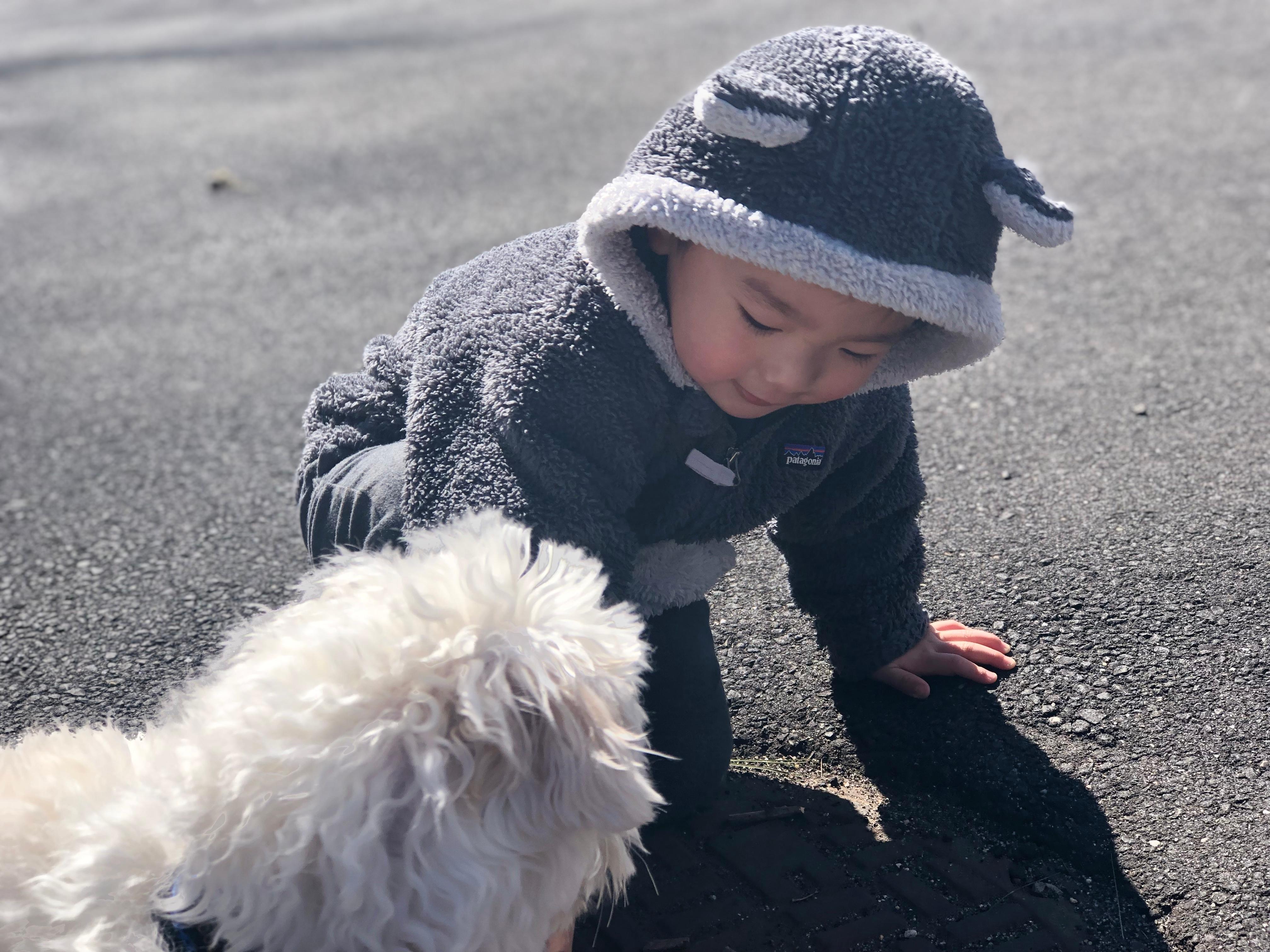 Patagonia Toddler Furry Friends Hoodie Dick s Sporting Goods