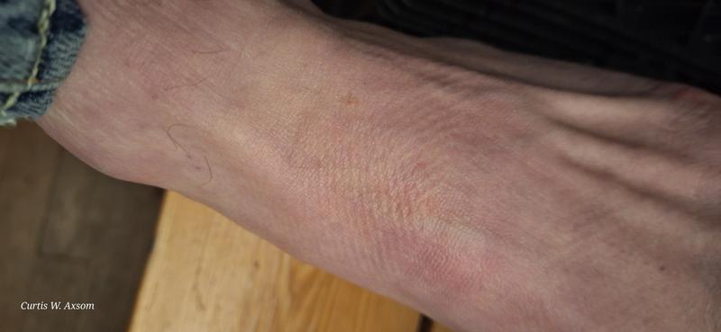 Photo submitted with review of product