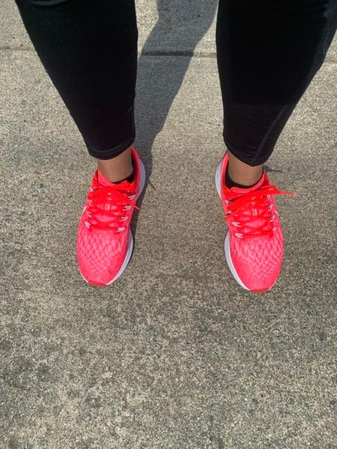 nike pegasus 36 dicks