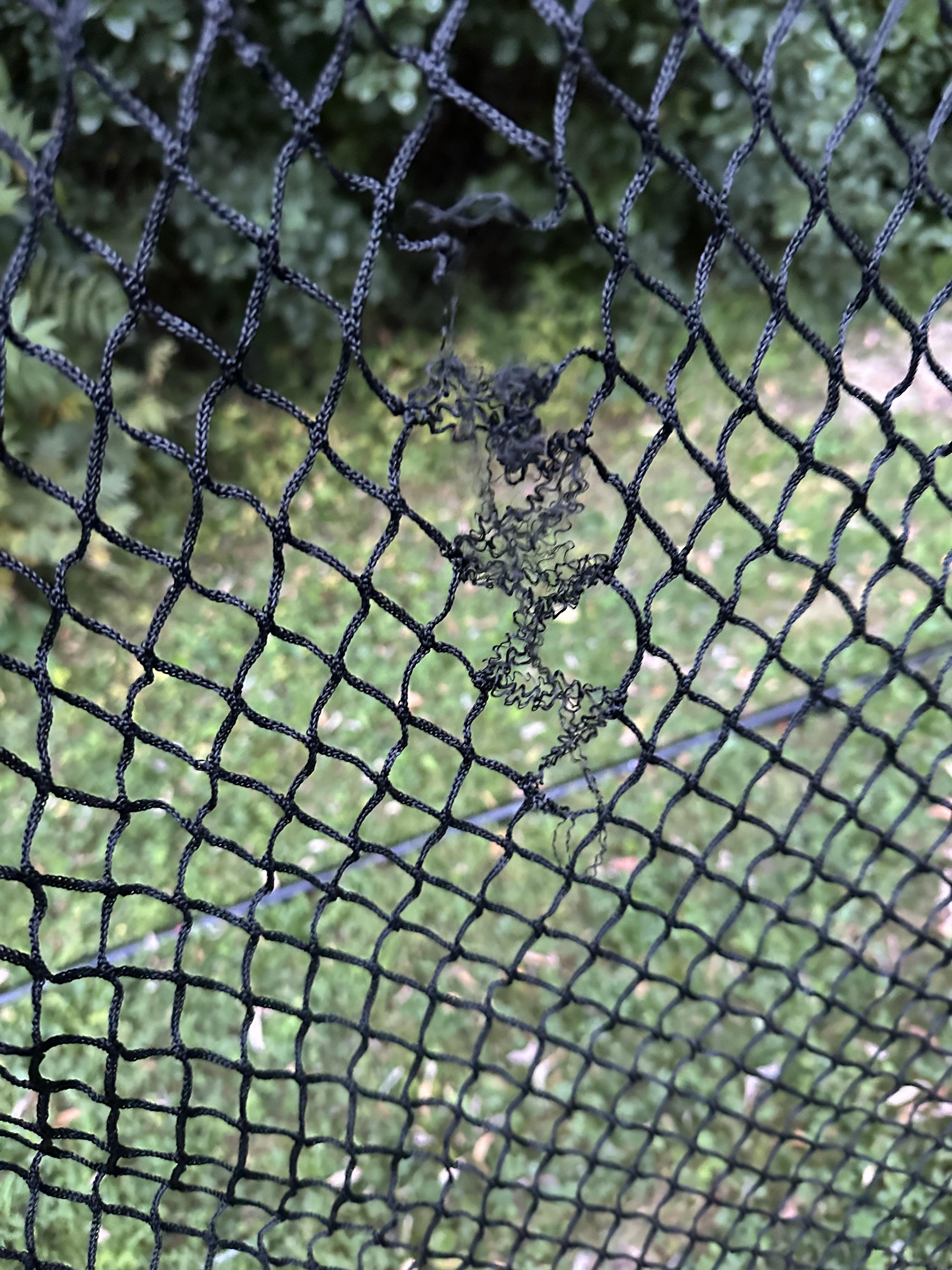 Maxfli 7'x7' Hitting Net with Ball Return | Golf Galaxy