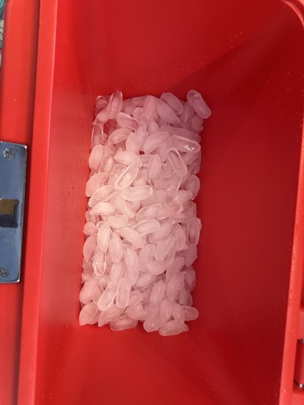 Photo submitted with review of product