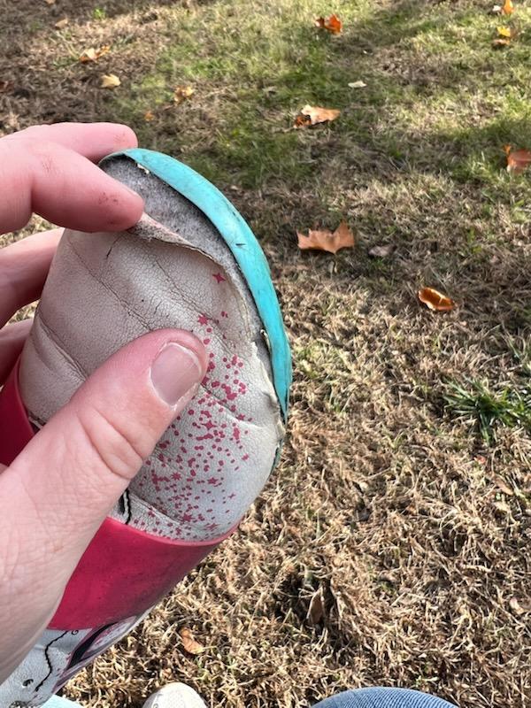 Photo submitted with review of product