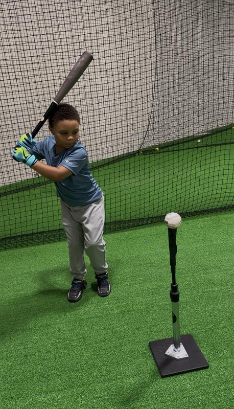 Victus Youth Tatis Jr. Pro Reserve Birch Wood Baseball Bat