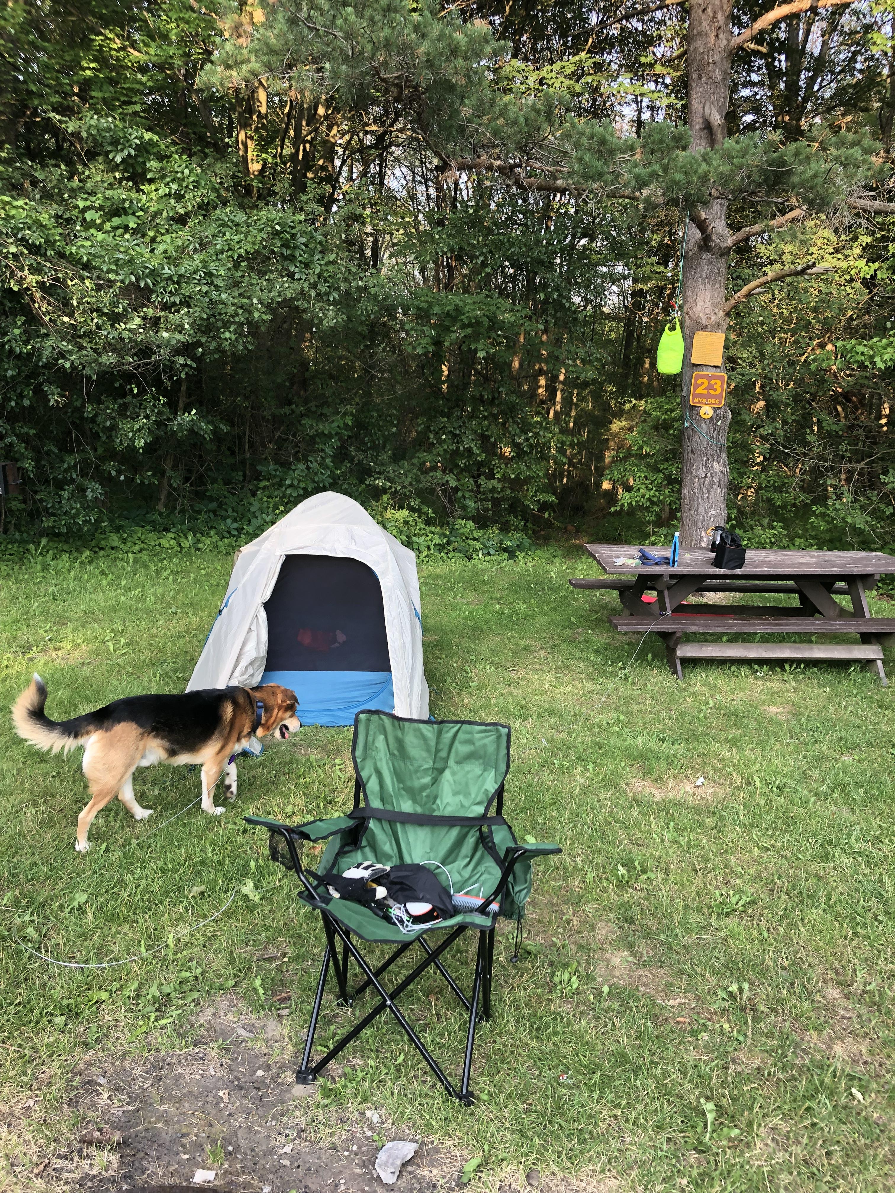 Kelty Tanglewood 2 Person Dome Tent | Dick's Sporting Goods
