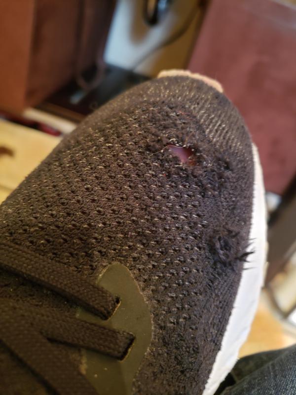 dicks nike epic react