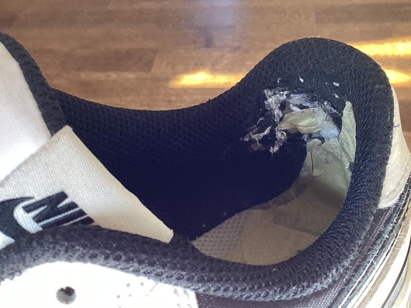 Photo submitted with review of product