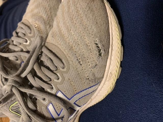 Photo submitted with review of product