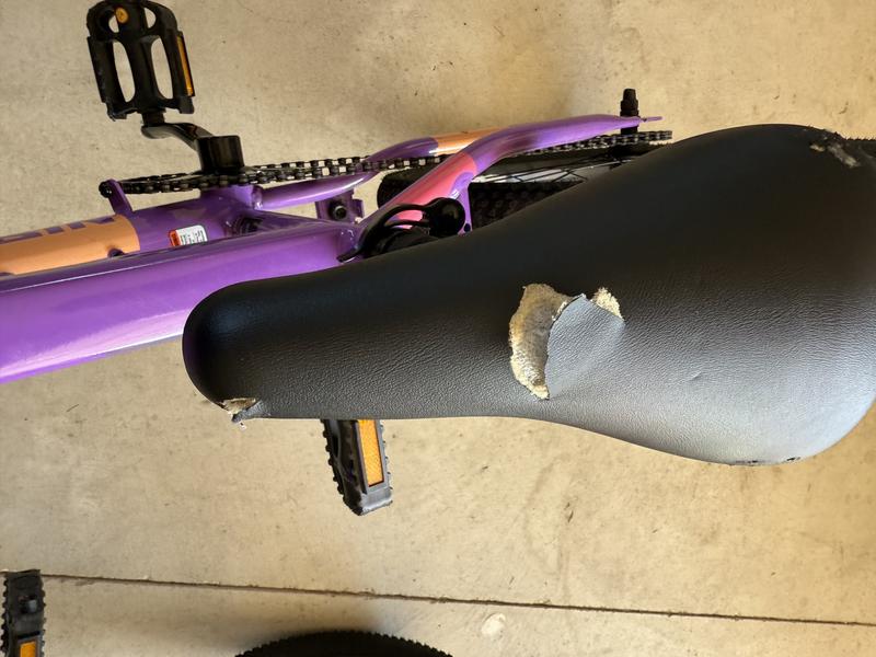 Photo submitted with review of product