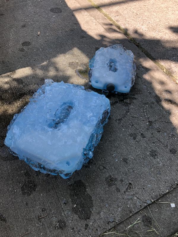 Photo submitted with review of product
