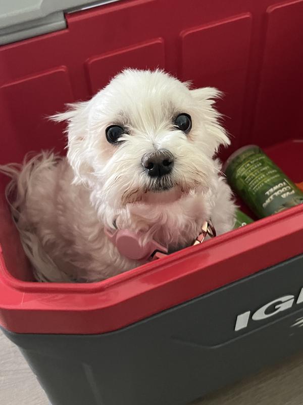 Photo submitted with review of product