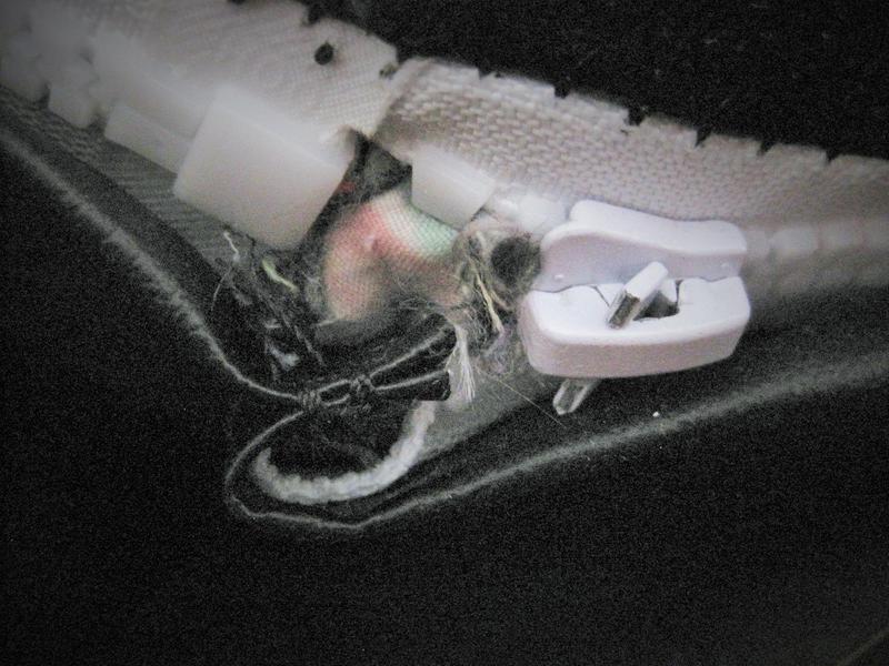 Photo submitted with review of product