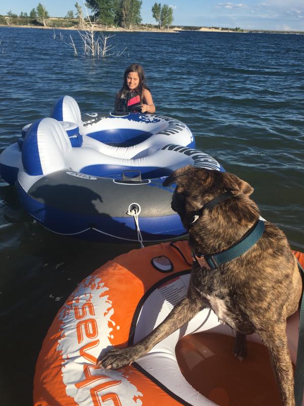 Photo submitted with review of product