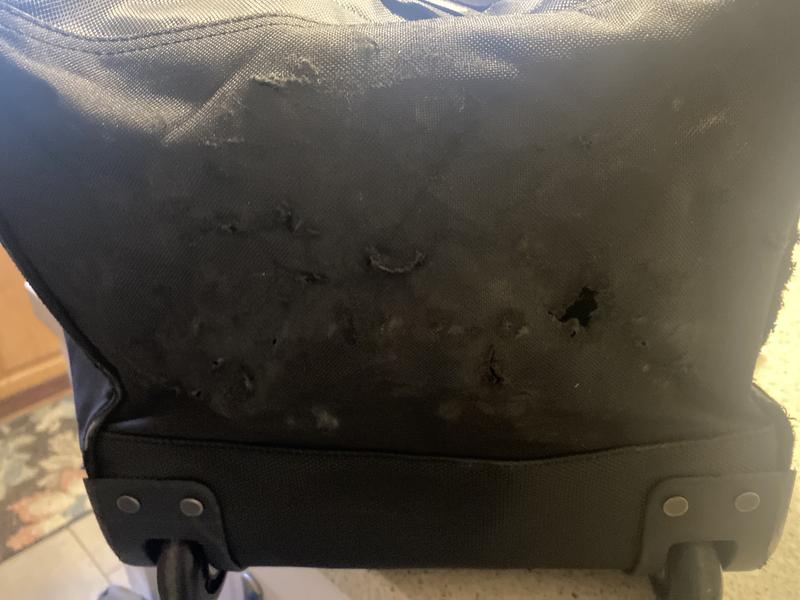 Photo submitted with review of product