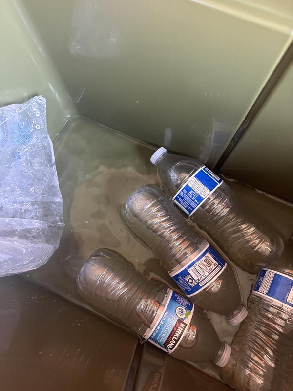 Photo submitted with review of product
