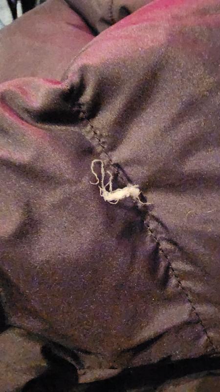 Photo submitted with review of product