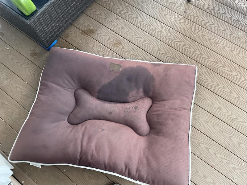 Photo submitted with review of product