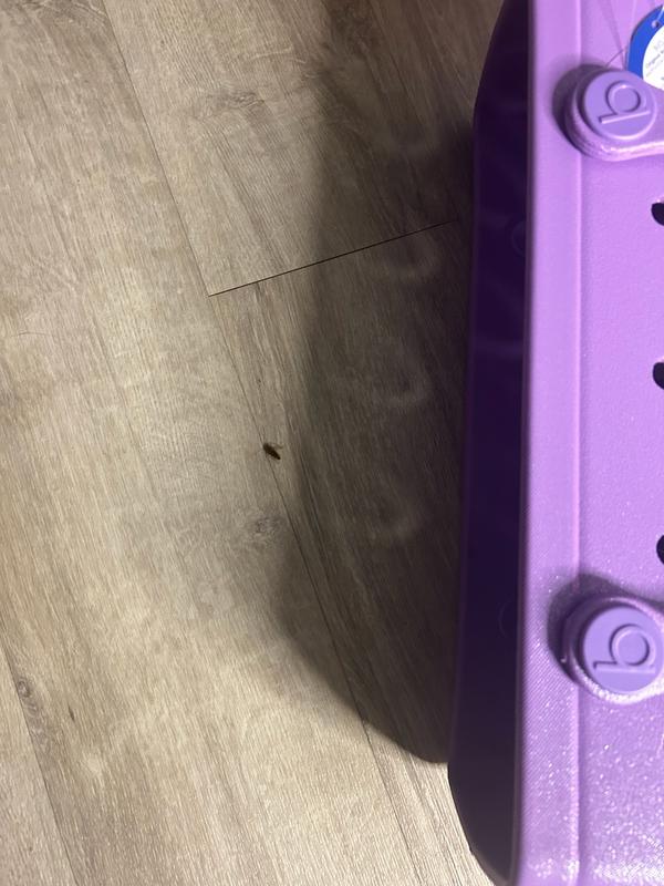 Photo submitted with review of product