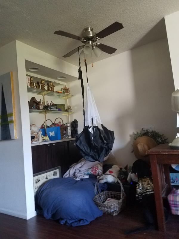 Photo submitted with review of product