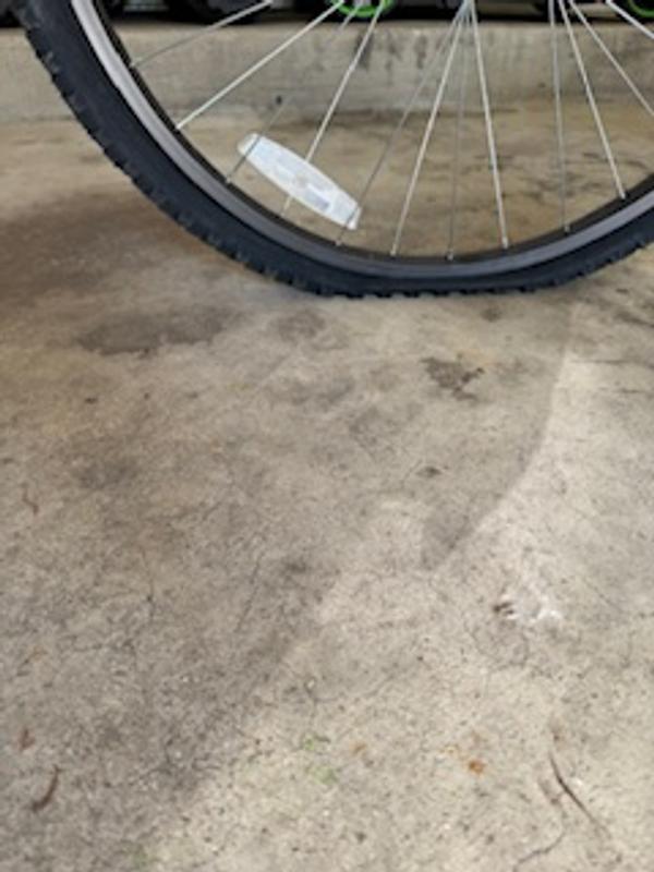 Photo submitted with review of product