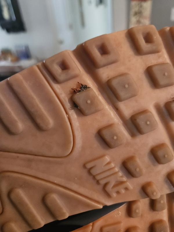Photo submitted with review of product