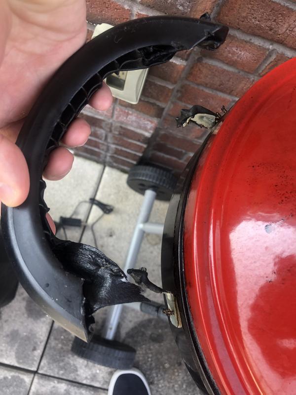 Photo submitted with review of product