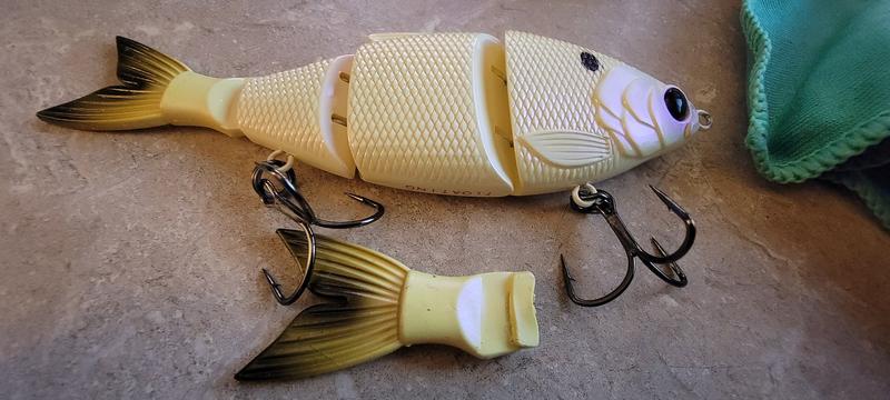 Photo submitted with review of product