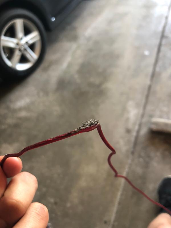 Photo submitted with review of product