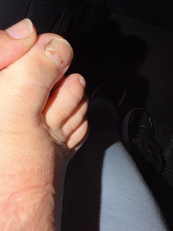 Photo submitted with review of product