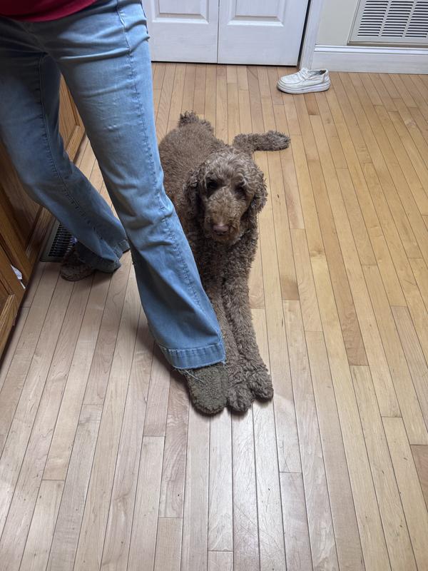 Photo submitted with review of product