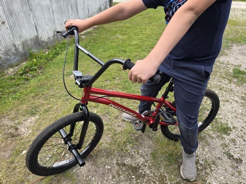 Nishiki Bonzai 20
