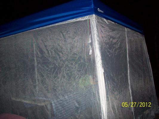 Photo submitted with review of product