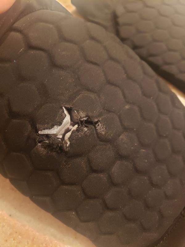 Photo submitted with review of product