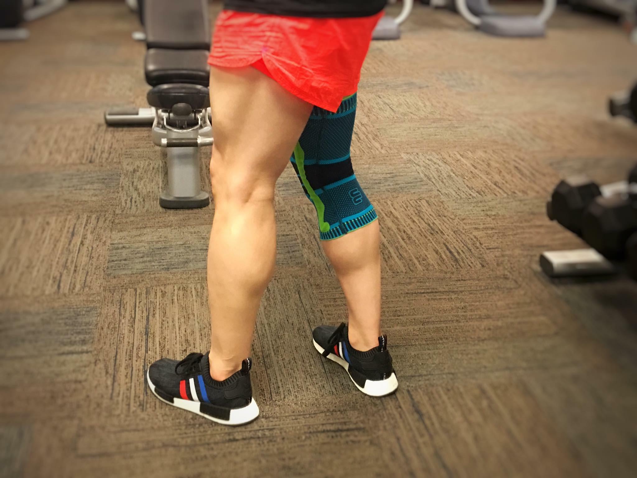 Bauerfeind Sports Knee Support | Dick's Sporting Goods