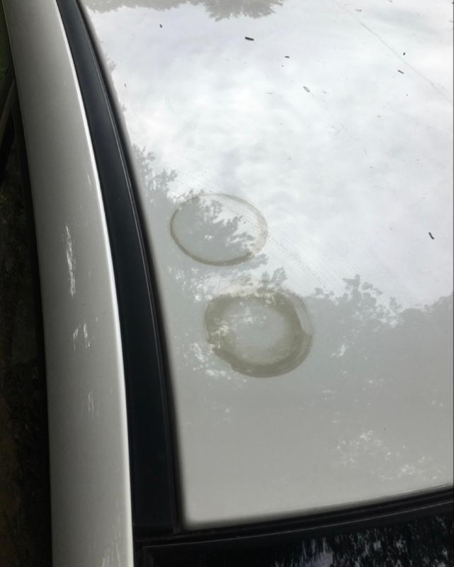 Photo submitted with review of product
