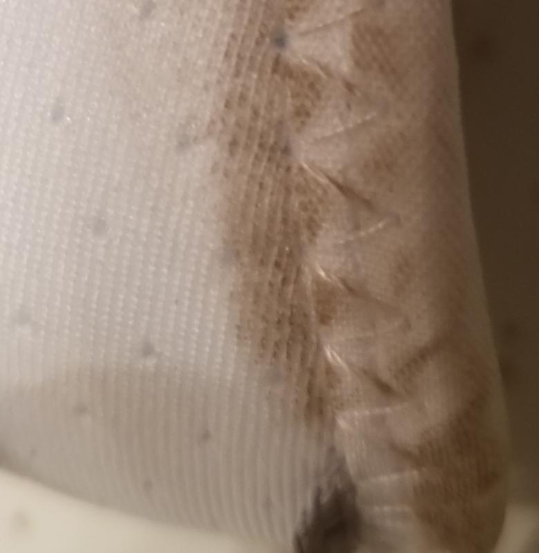 Photo submitted with review of product