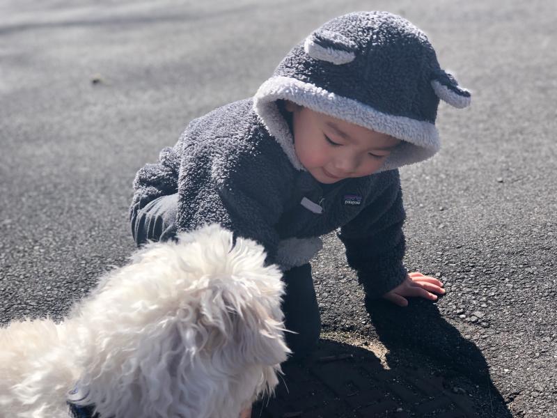 patagonia infant furry friends hoodie