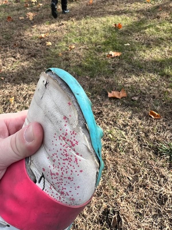 Photo submitted with review of product